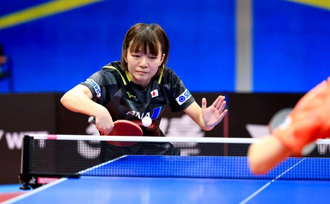 们献上了一 们献上了一